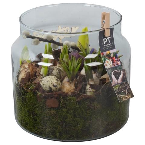 <h4>PTBMP5758 Arrangementen Tuinplanten</h4>