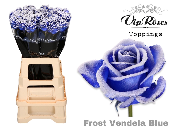 R GR FROST VENDELA BLUE