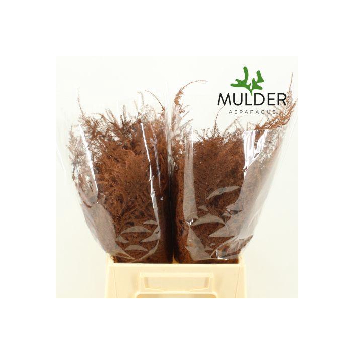 <h4>ASP OV KLB H%</h4>