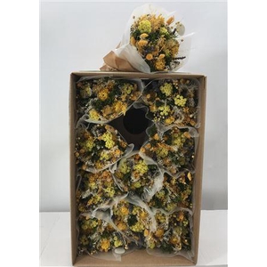 Dr Bqt Dried Fantasy Yellow