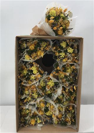 <h4>Dr Bqt Dried Fantasy Yellow</h4>