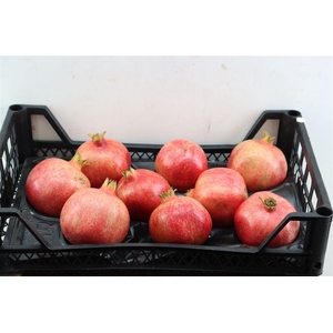 Sier Granaatappel X9 P Box