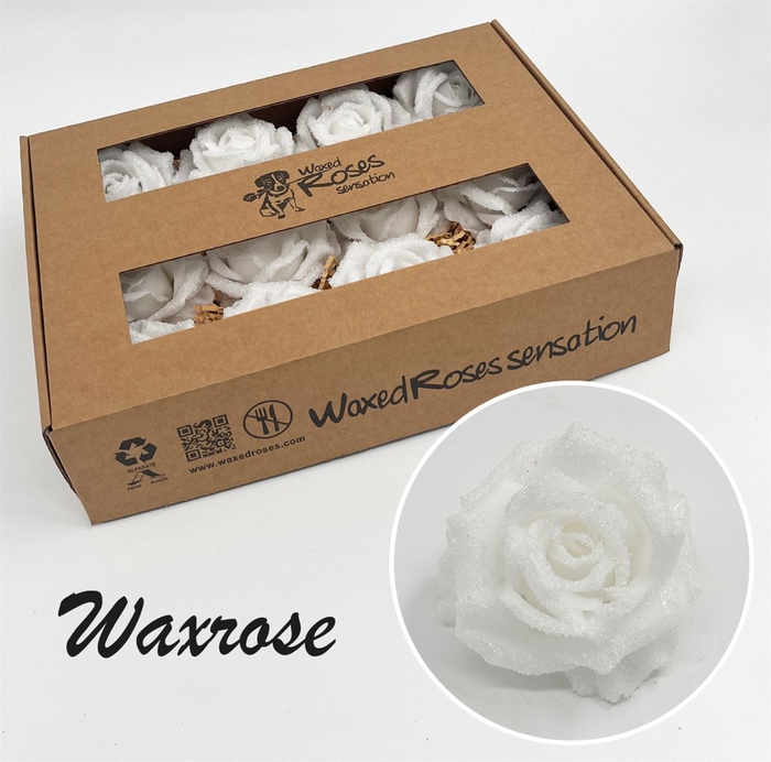 <h4>Zijde R Wx Icy Wit</h4>