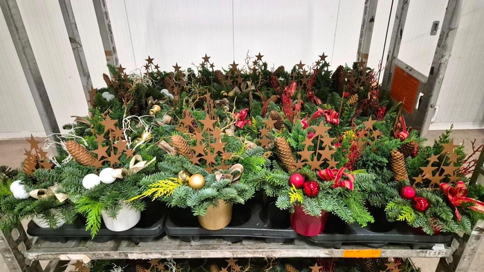 <h4>ARR KERST H%</h4>