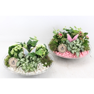 arr2 PL - Glas schaal 27cm - roze/wit