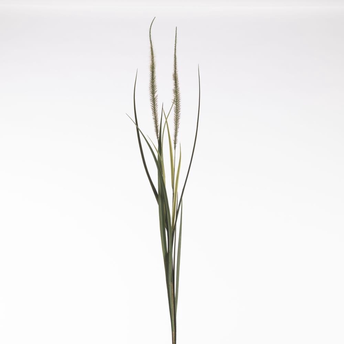 AF Pennis x2 122cm Green/Red