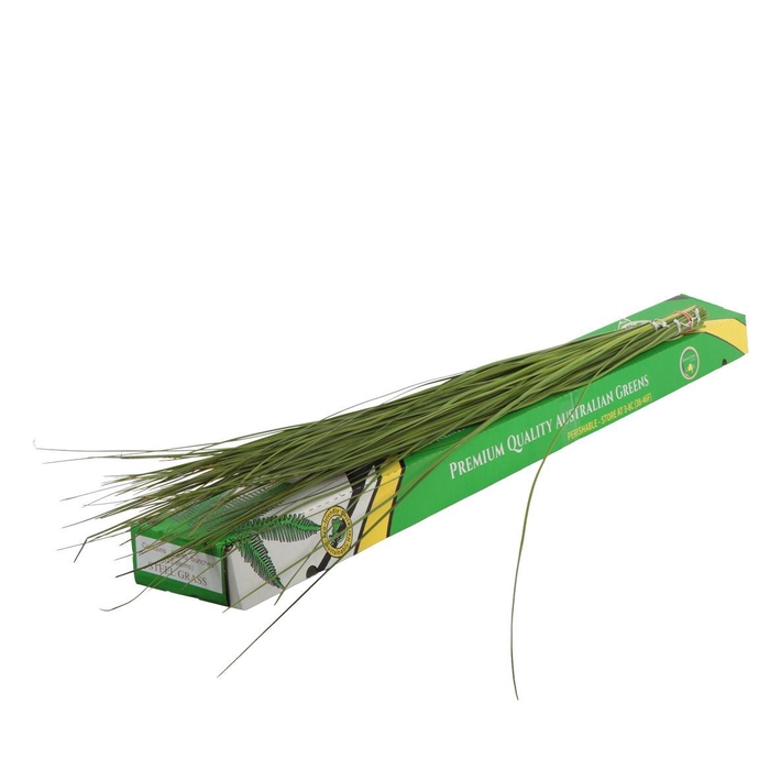 <h4>Steelgrass Premium</h4>