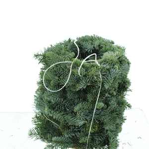 Krans Nobilis Half Gebonden 22cm