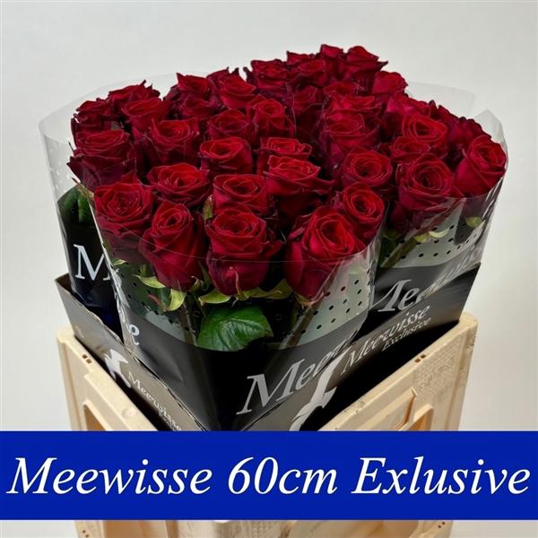 <h4>R Gr Red Naomi! Exclusive 60cm</h4>