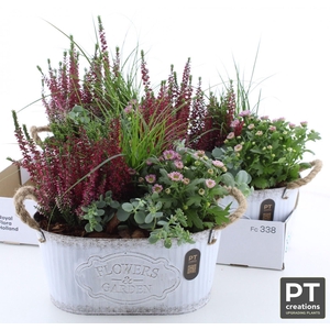 ARR TUINPLANTEN