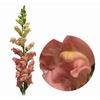 BOCA DE LEAO POTOMAC ROSE 080 CM