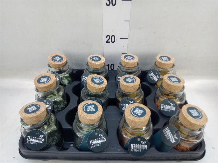 <h4>Arr. Planten L%</h4>