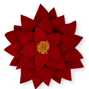 Pointsettia red-02