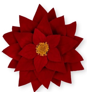 Pointsettia red-02