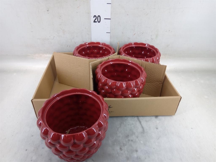 <h4>Pot   ...Keramische H%</h4>