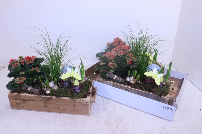 <h4>ARR PL IN SCHAAL</h4>