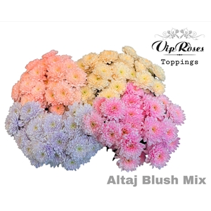 Chr T Altaj Blush Mix