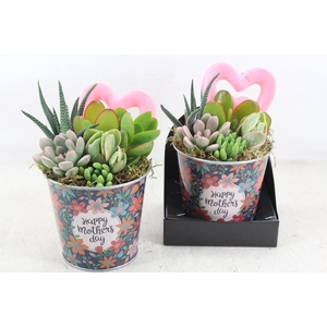 arr3 AD - Happy mother's day zink x6