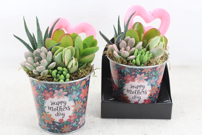 <h4>arr3 AD - Happy mother's day zink x6</h4>