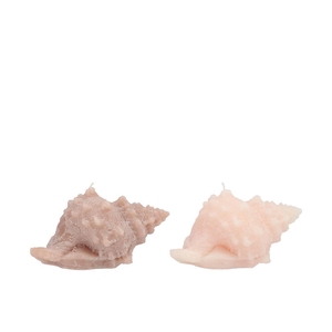 Candle Shell Conch Ivory/sand 11x13cm