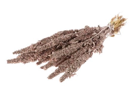 <h4>Bunch Amaranthus Slv 200g L90</h4>