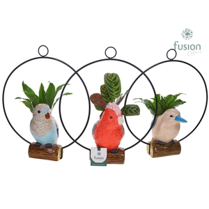 Keramiek vogels in de ring met Groenen planten