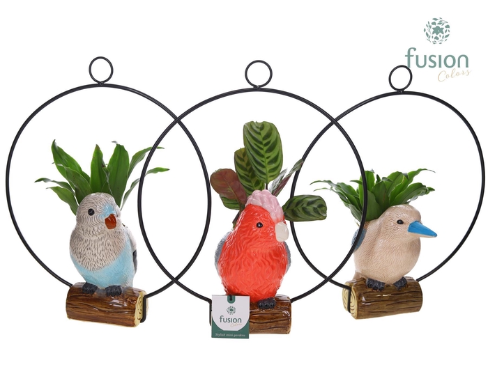 <h4>Keramiek vogels in de ring met Groenen planten</h4>