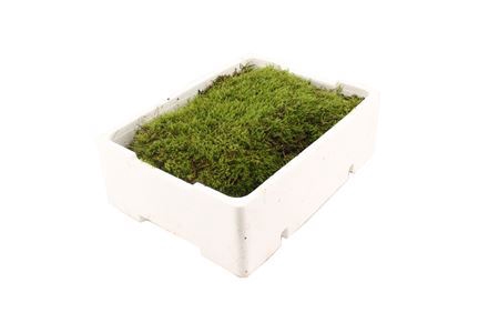<h4>MOS PLATMOS ( WITTE KIST )</h4>