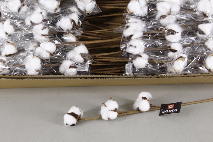 <h4>A-DF Cotton White 65cm 3 Balls</h4>