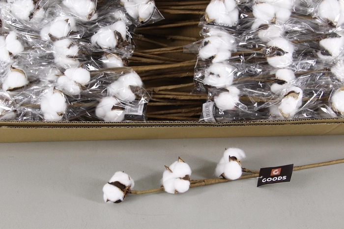 <h4>A-DF Cotton White 65cm 3 Balls</h4>