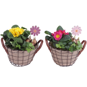 Early Spring Arr. Outdoor Metal Wire Basket Jute Ø21cm 3PP