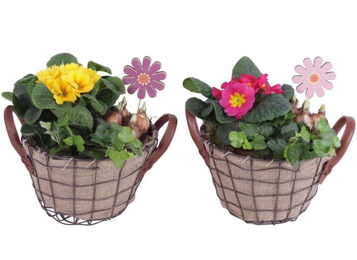 <h4>Early Spring Arr. Outdoor Metal Wire Basket Jute Ø21cm 3PP</h4>