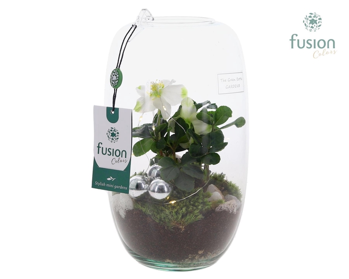 <h4>Green Bottle Isabella Medium Kerst met Helleborus met LED</h4>