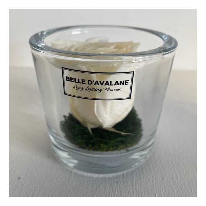 <h4>Cilinder d9x8h witte roos glas</h4>