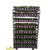 !! PROMO !! CALIBRACHOA/VERBENA  P12