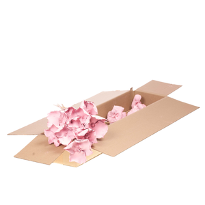 Palmcup O/s 10pc Sb Pink Misty