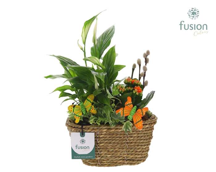 <h4>Mand zeegras ovaal met vrolijk Arrangement</h4>