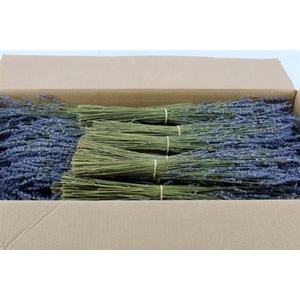 Dried Lavendel Super Blue 100gram Bunch