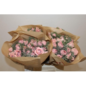 Anem Marianne Powder Salmon