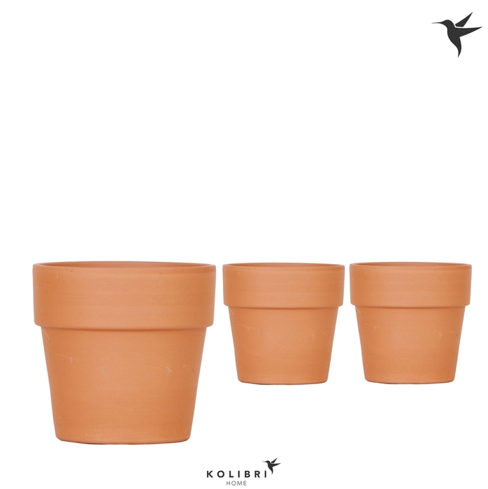 <h4>Kolibri Home Terracotta pot</h4>