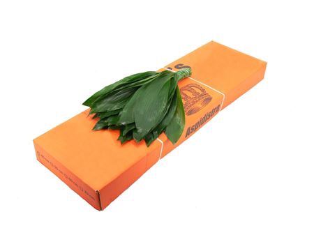 <h4>ASPIDISTRA 40</h4>