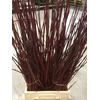 CORNUS ROT