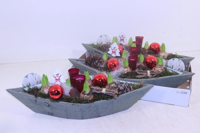 <h4>Arr Hyacinth</h4>