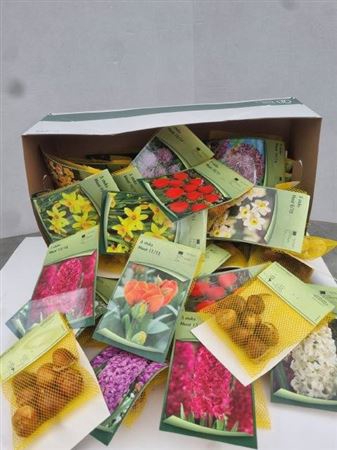 <h4>Bloembol Ov Springmix</h4>