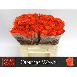 R GR ORANGE WAVE