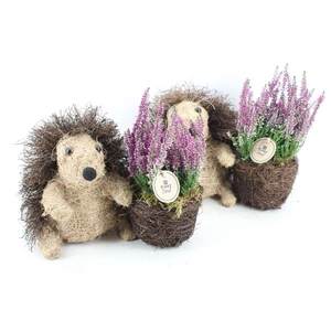 arr4 Outdoor PL - Riet Egel calluna