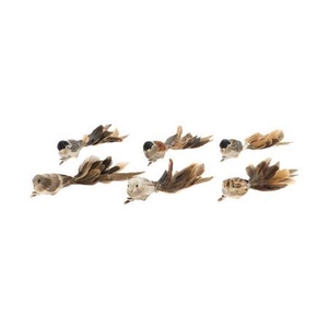 Bird Paradise L26b5h6 6pcs