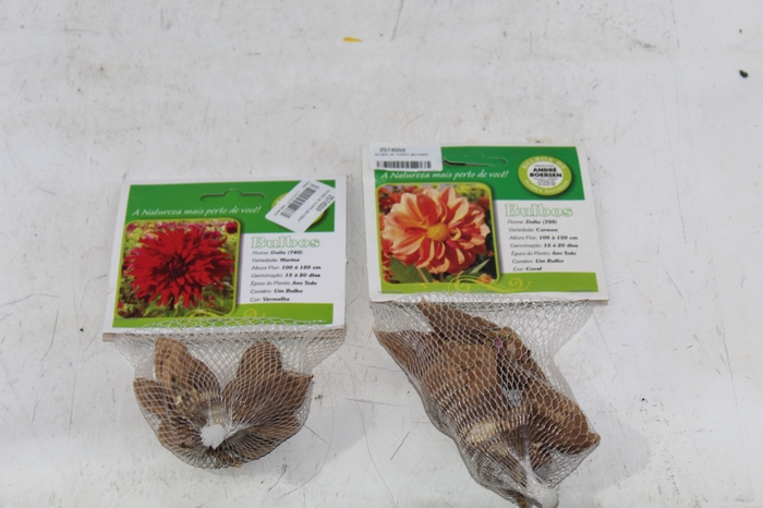 <h4>BULBOS DE FLORES NATURAIS</h4>