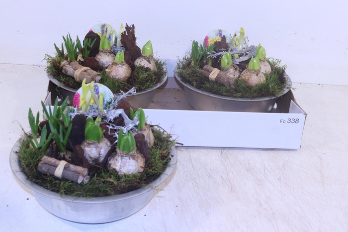 <h4>ARR BOL KNOLGEWAS</h4>