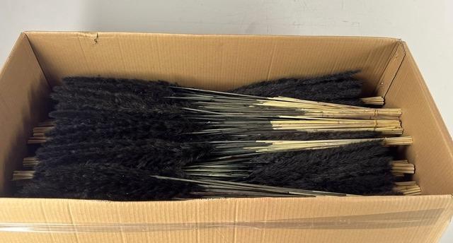 <h4>DF Pampas Silvy B10 85cm Black</h4>